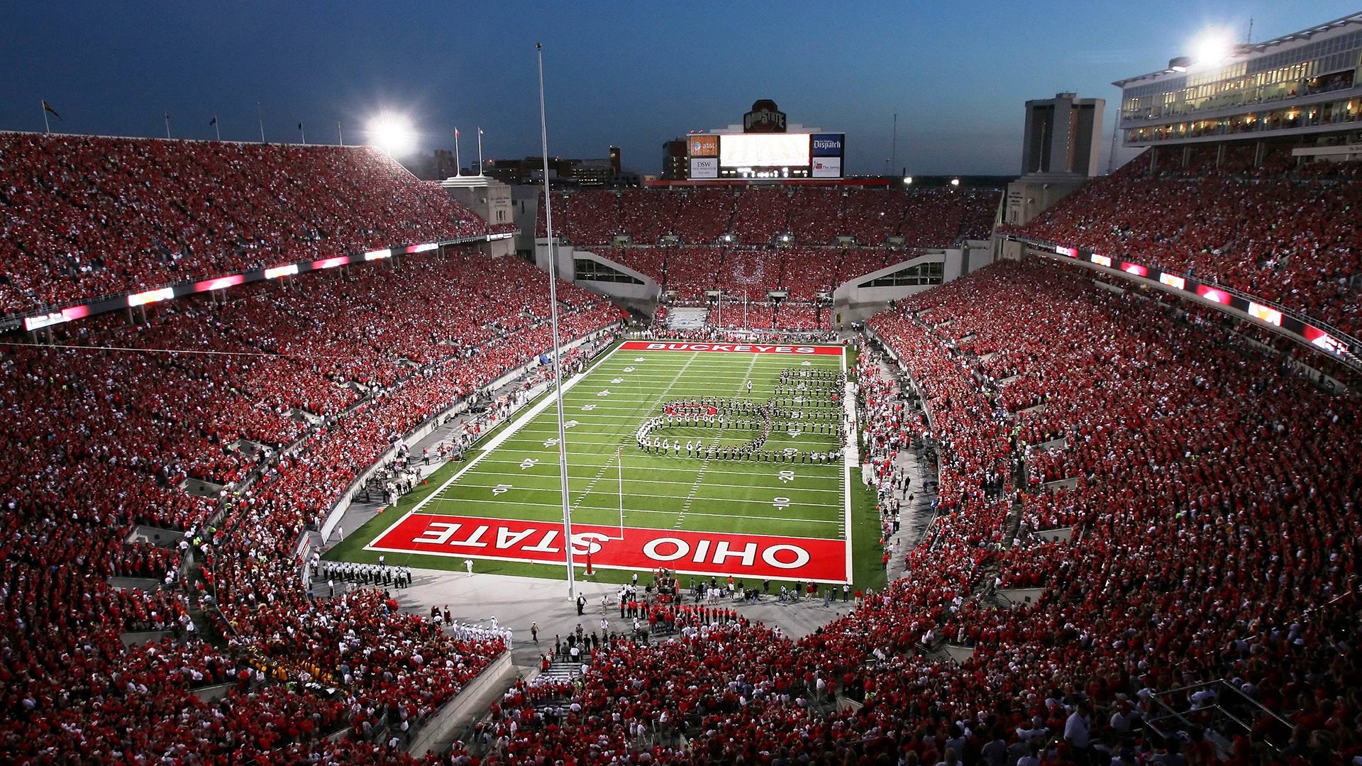 开云下载-“足球志愿者团队在赛场上发挥重要作用”，足球志愿者总结怎么写